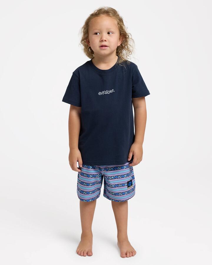 Image of T-Shirts. Product name - Quiksilver Boys 2-7 Wax On T-Shirt Dark Navy in Dark Navy colour by brand - Quiksilver