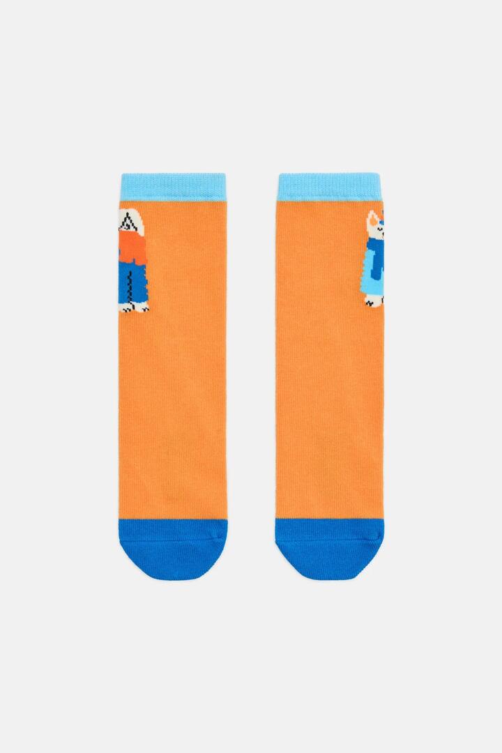 Image of Socks. Product name - Doggies Kids Sock in Multi colour by brand - Gorman