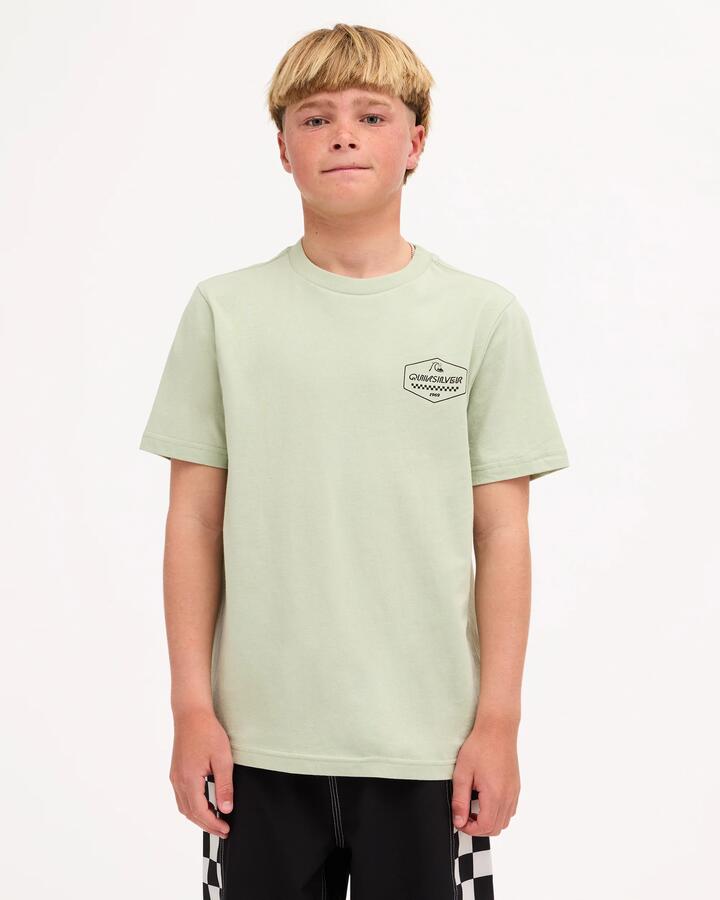 Image of T-Shirts. Product name - Quiksilver Boys 8-16 Original Hex T-Shirt Desert Sage in Desert Sage colour by brand - Quiksilver