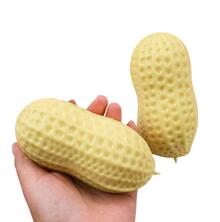 Image of Toys. Product name - Maltose Squish & Stretch Peanut Toy in colour by brand - Toymate