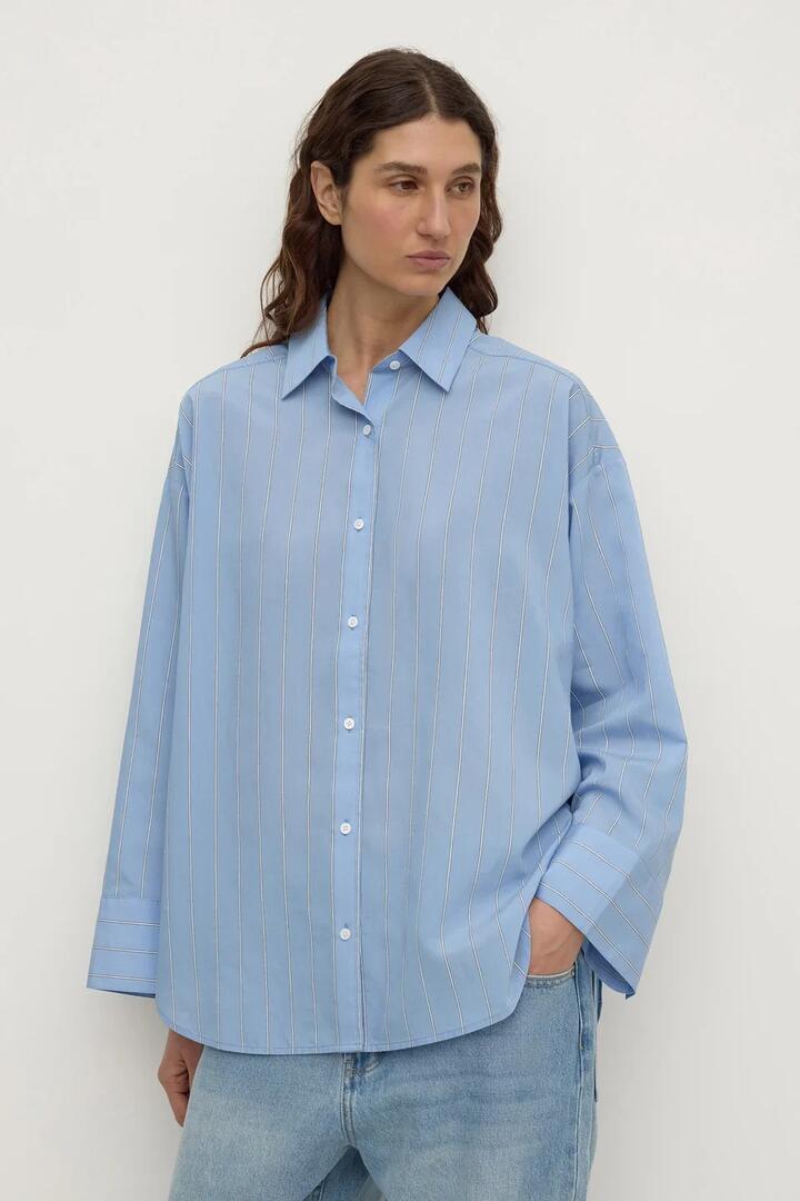 Image of Shirts. Product name - Delaney Blue Italian Stripe Shirt in Blue colour by brand - Assembly Label