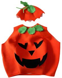 Image of Toys. Product name - Halloween Magic Pumpkin Patch Costume in colour by brand - Toymate