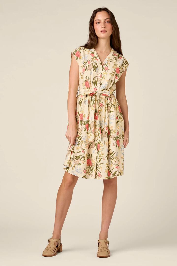 Image of Dresses. Product name - Pygmy Possum Shirt Dress in Cream colour by brand - Princess Highway