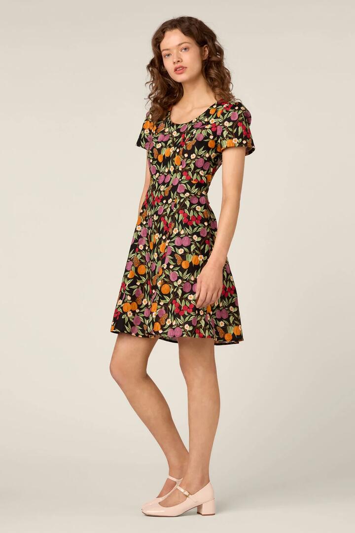 Image of Dresses. Product name - Butterfly & Fruit Mini Dress in Black colour by brand - Princess Highway