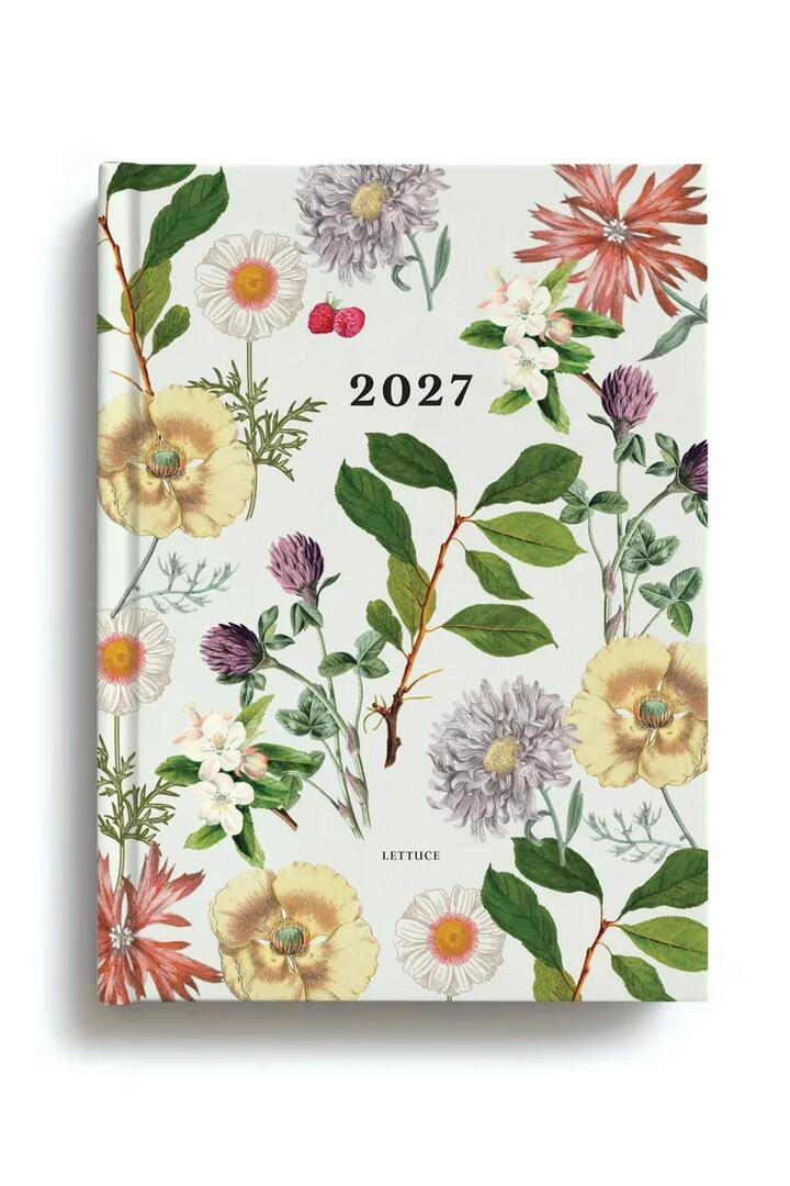 Image of Notebooks & Notepads. Product name - Berry & Bloom 2027 Daily Diary in colour by brand - Lettuce
