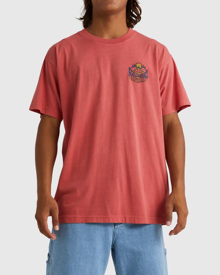 Image of T-Shirts. Product name - Billabong Mens Homegrown T-Shirt Coral in Coral colour by brand - Billabong