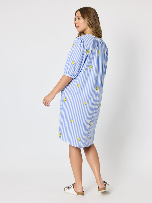 Threadz Spritz Embroidered Stripe Print Dress (Blue/White)