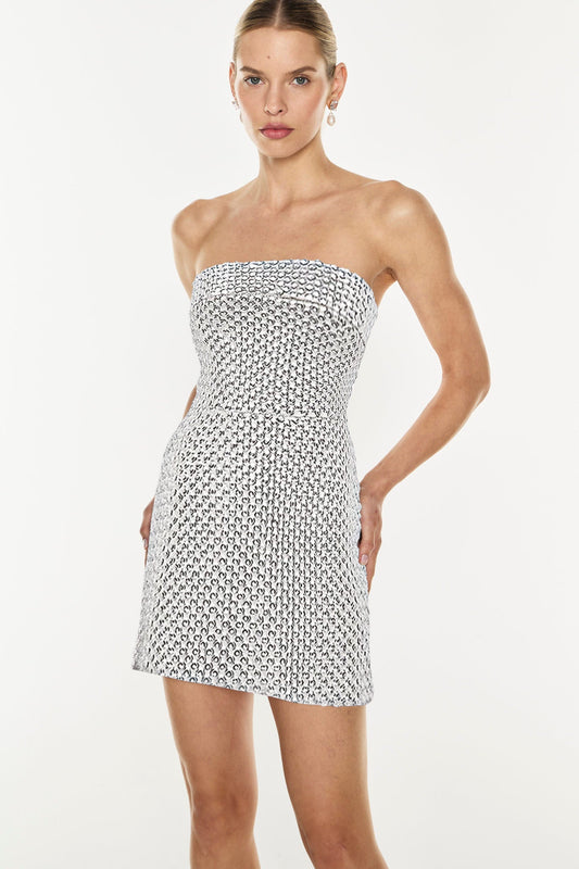 Opulent Scale Mini Dress (Silver)