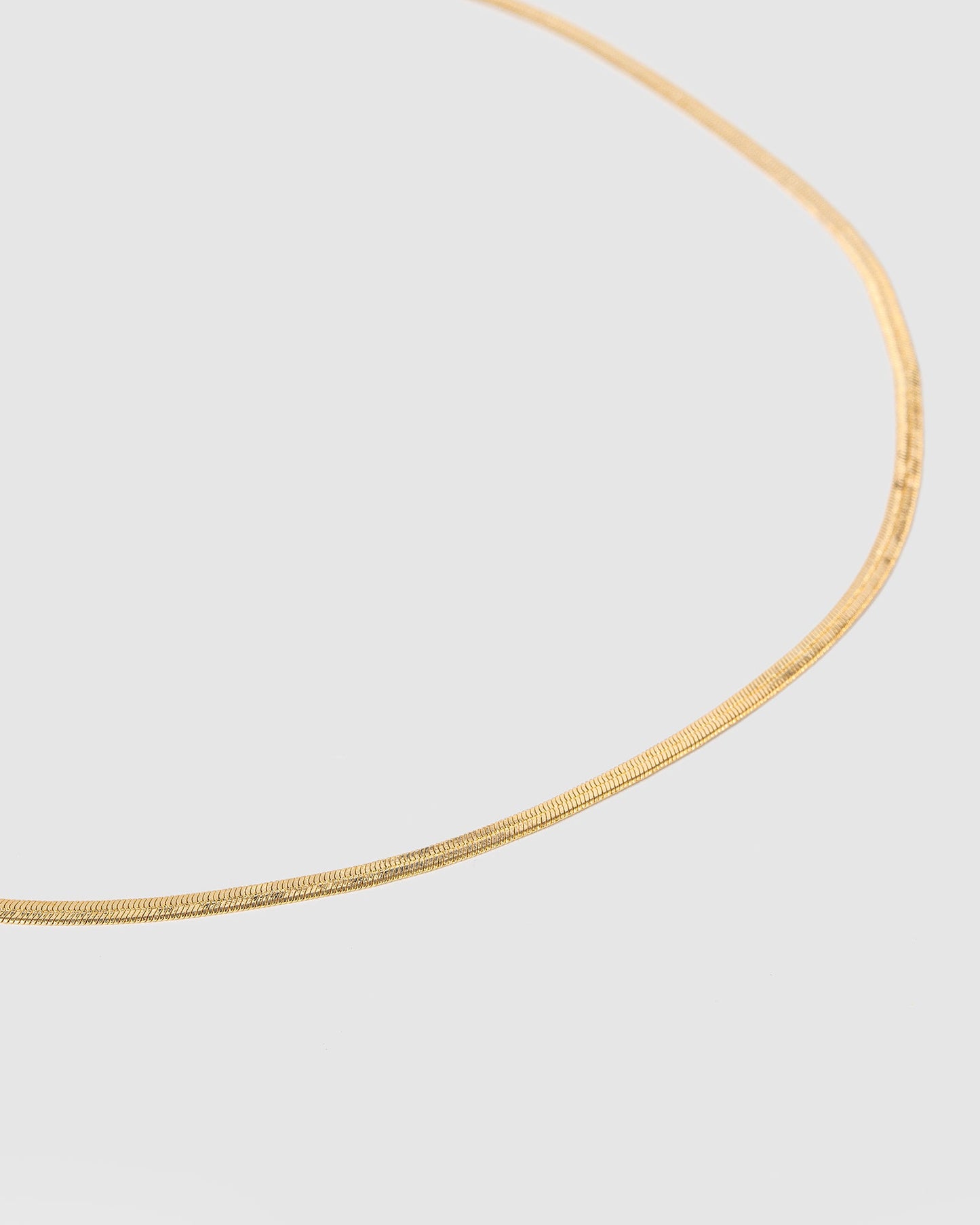 Colette by Colette Hayman Snake Chain Necklace (Gold)