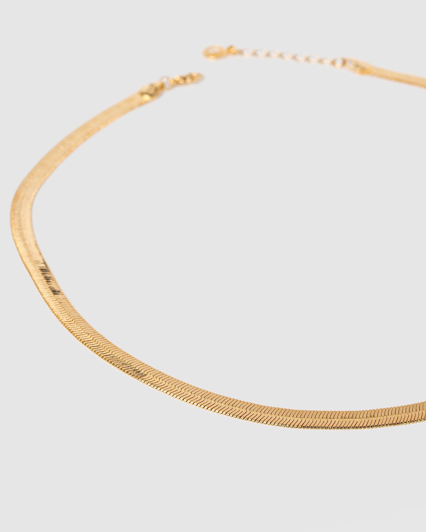 Colette by Colette Hayman Thick Snake Chain Necklace (Gold)