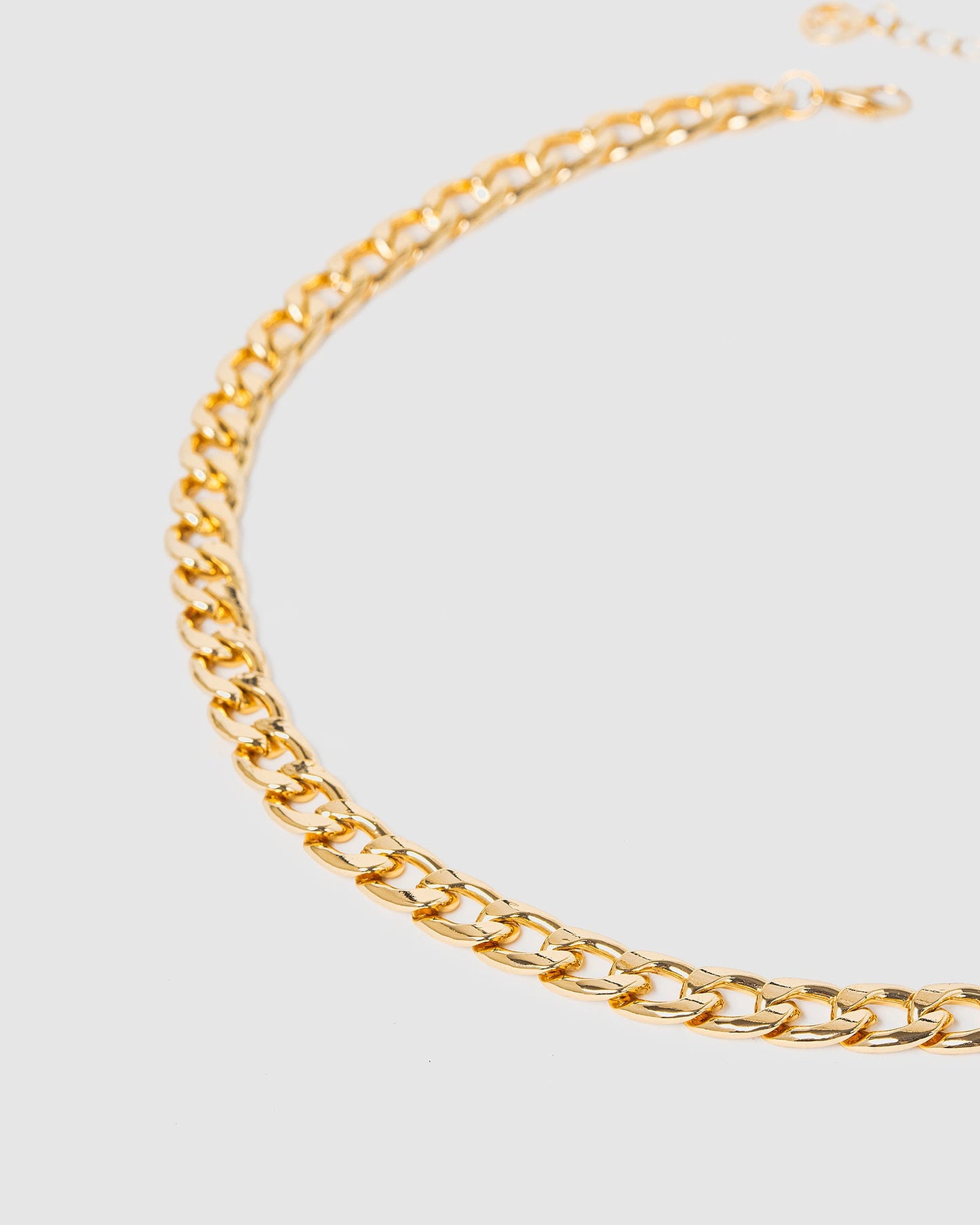 Colette by Colette Hayman Curb Chain Necklace (Gold)