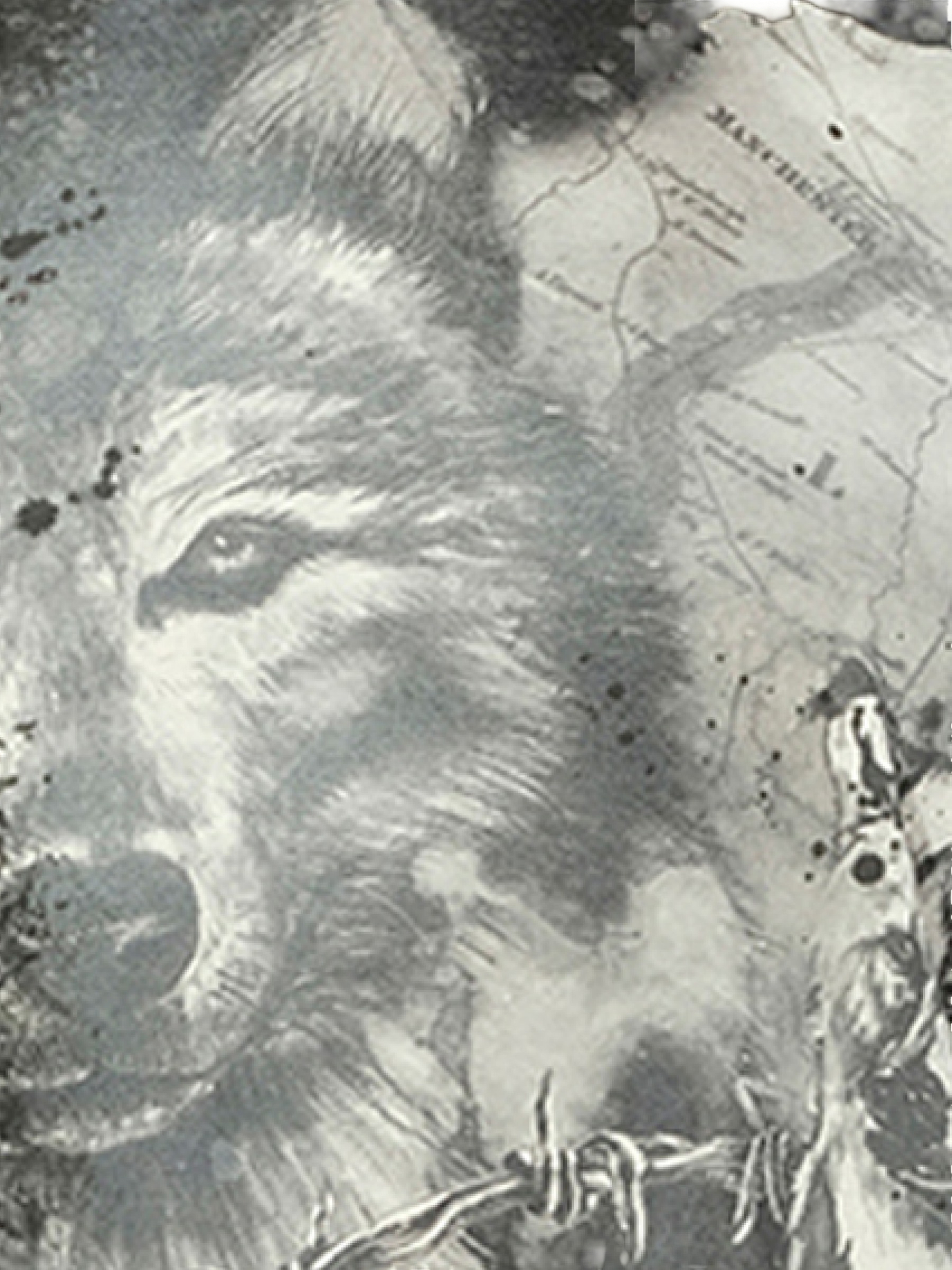 BALMAIN Wolf T-Shirt (Black)