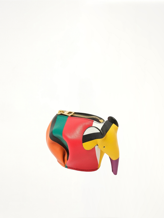 LOEWE Elephant Stripes Coin Purse (Multicolour)
