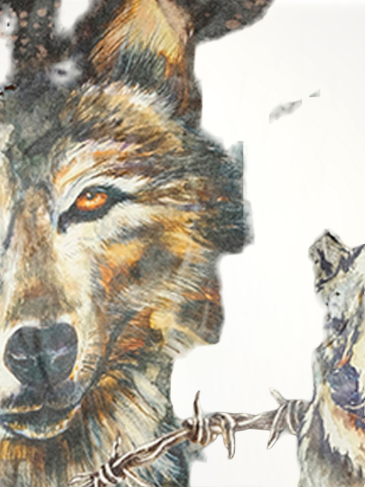 BALMAIN T-Shirt (Grey)