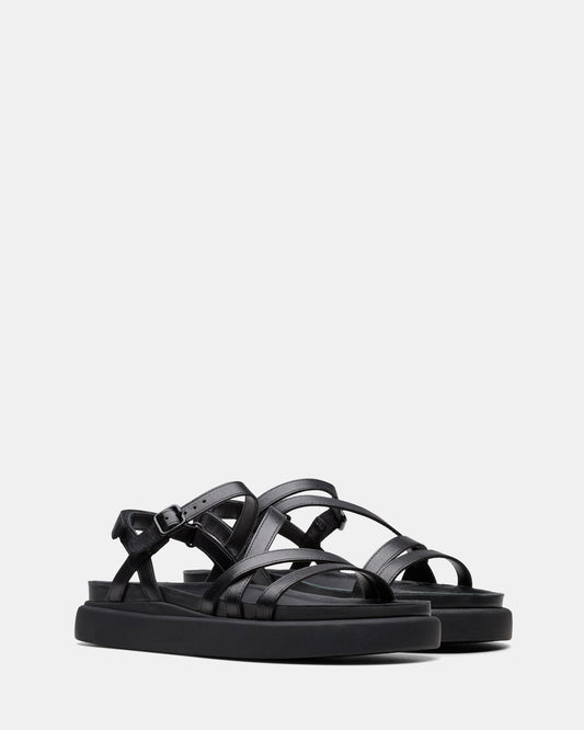 Aristella Rose Black Leather