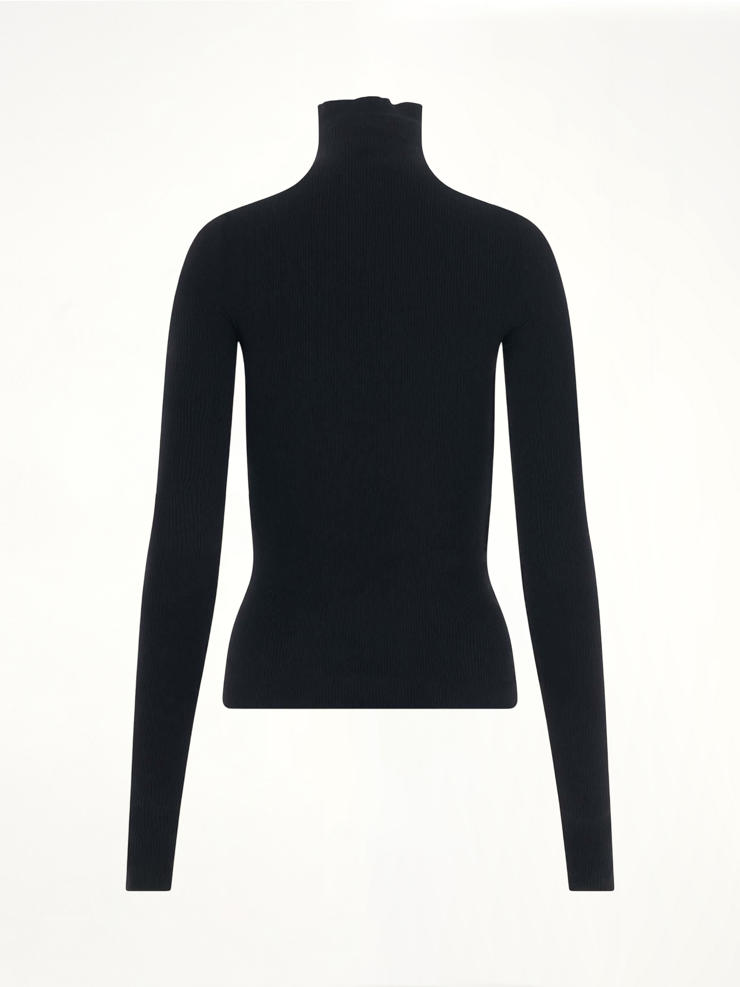 BALENCIAGA Turtleneck Sweater (Black)