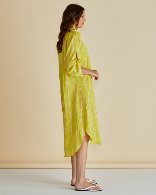 Betty Basics Hayman Shirt Dress (Yellow/Pink Stripe)
