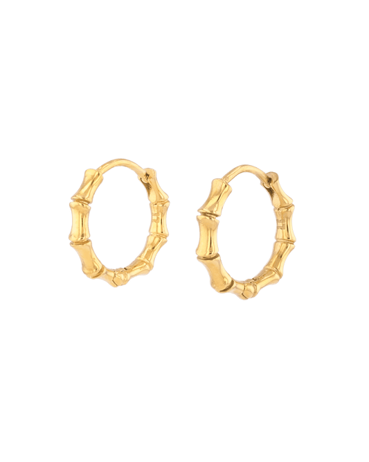 LAVANA Bounty Bamboo Gold Huggie Earrings
