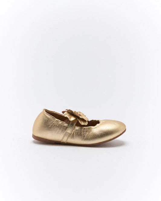 Walnut Melbourne Daisy Ballet (Soft Gold)