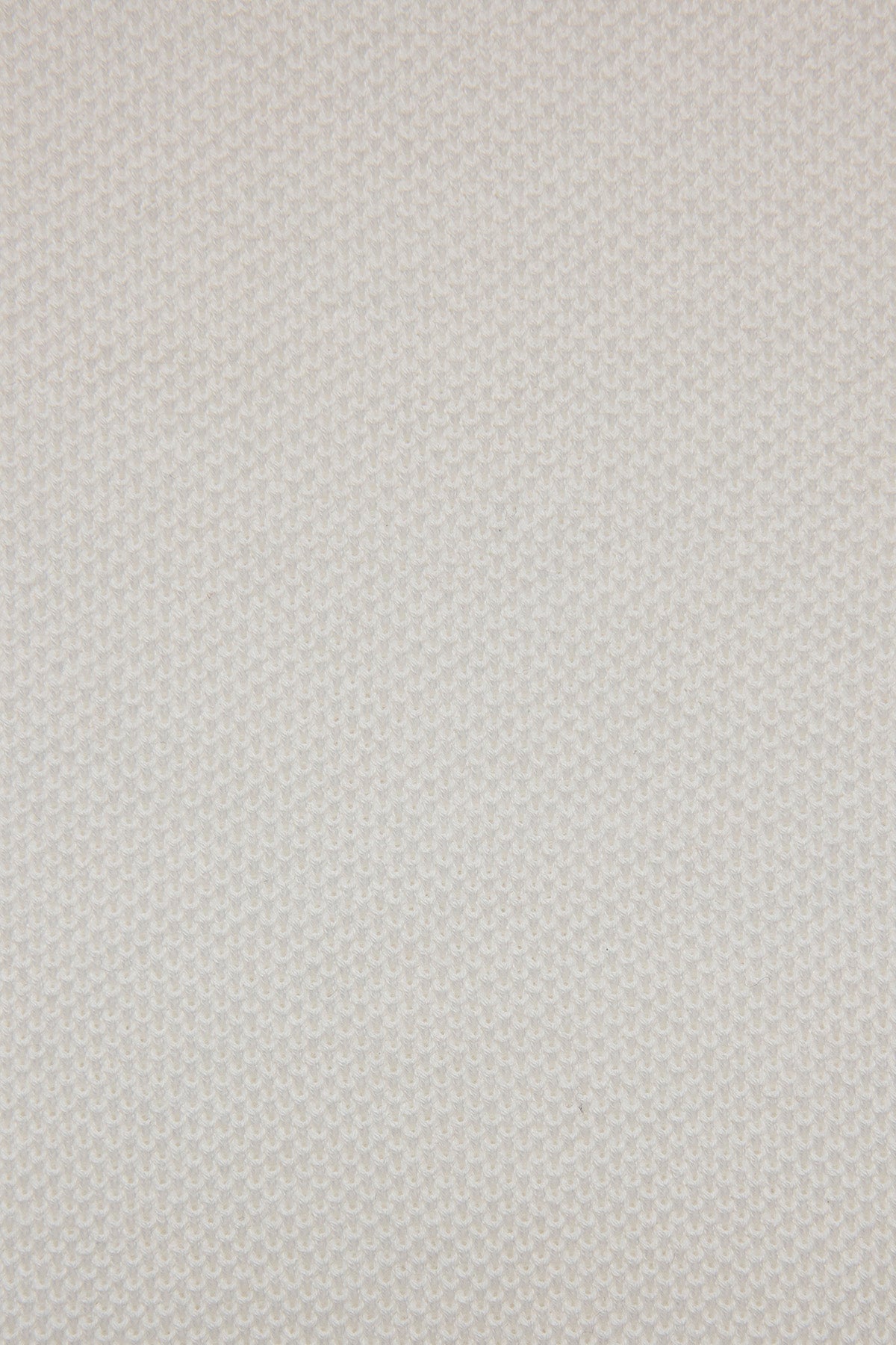 Anthony Squires Knitted crew neck tee supima cotton (White)