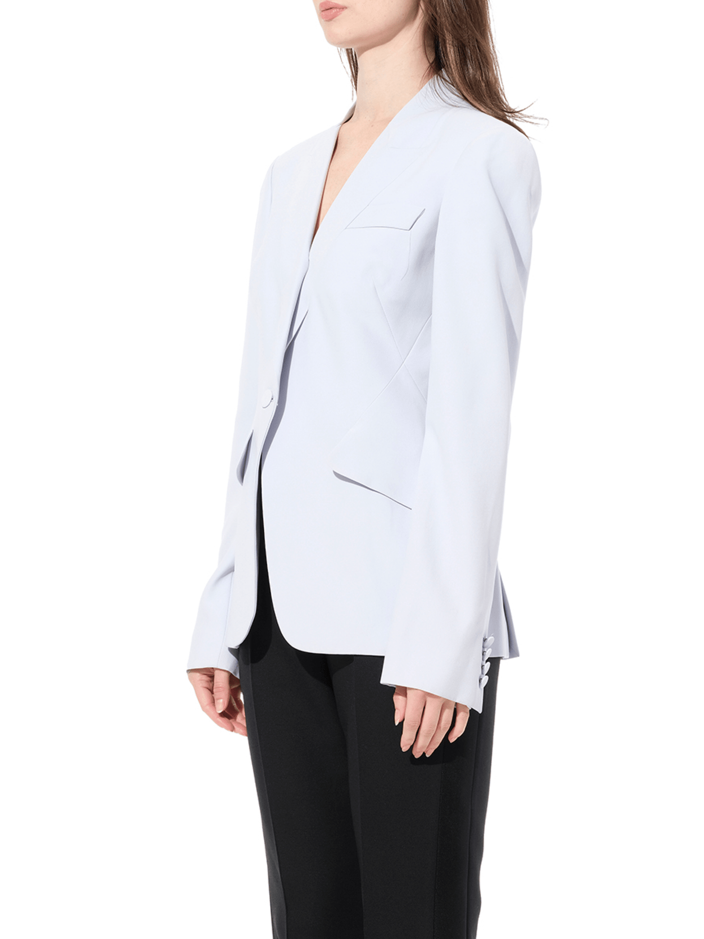 ALEXANDER MCQUEEN Jacket (Blue)