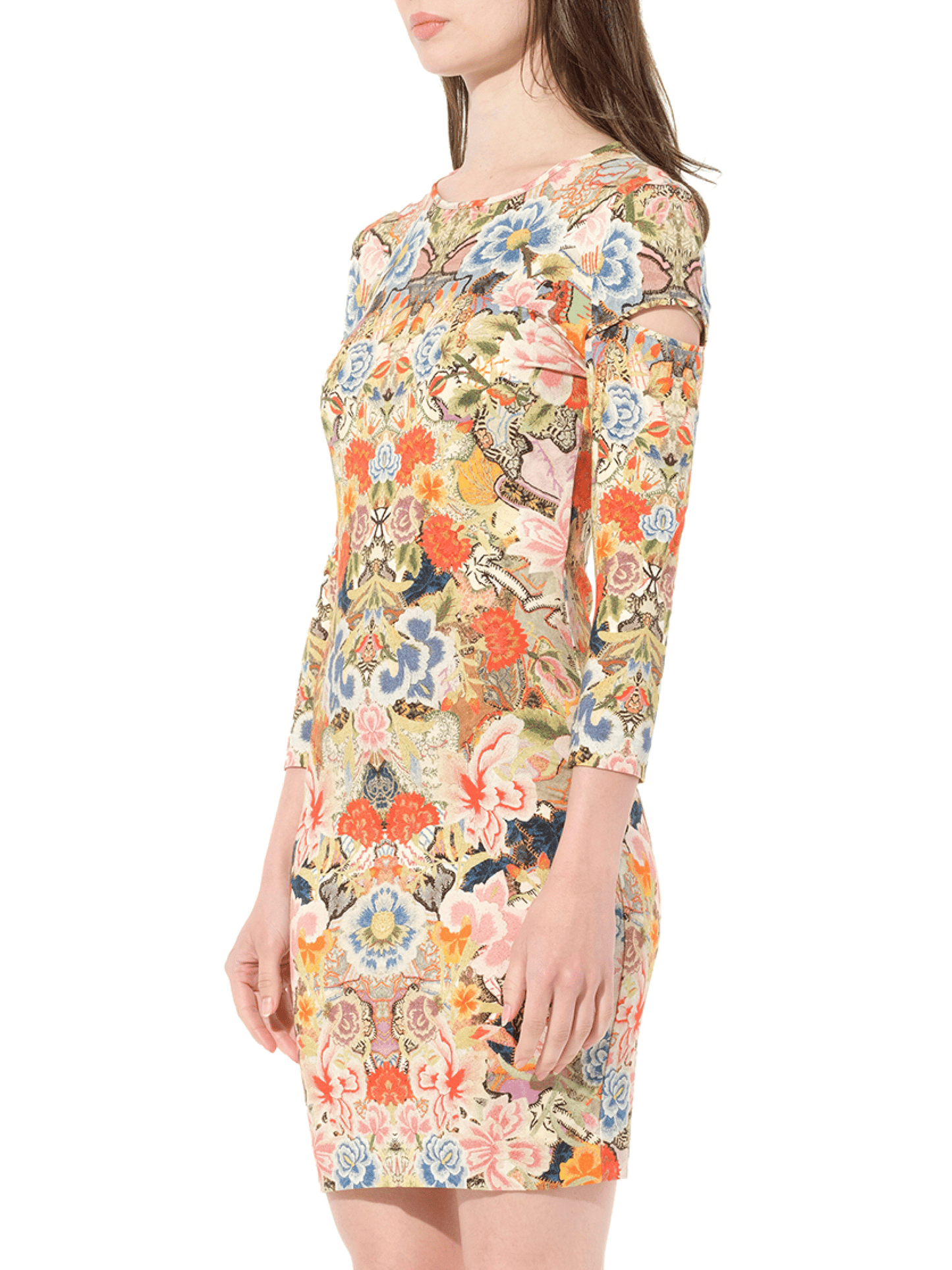 ALEXANDER MCQUEEN Dress (Multicolor)