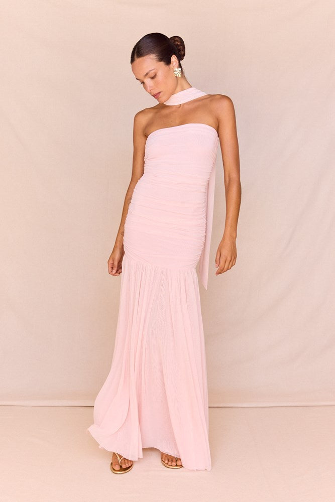 Sass Clothing Hayley Strapless Mesh Dress (Pale Pink)