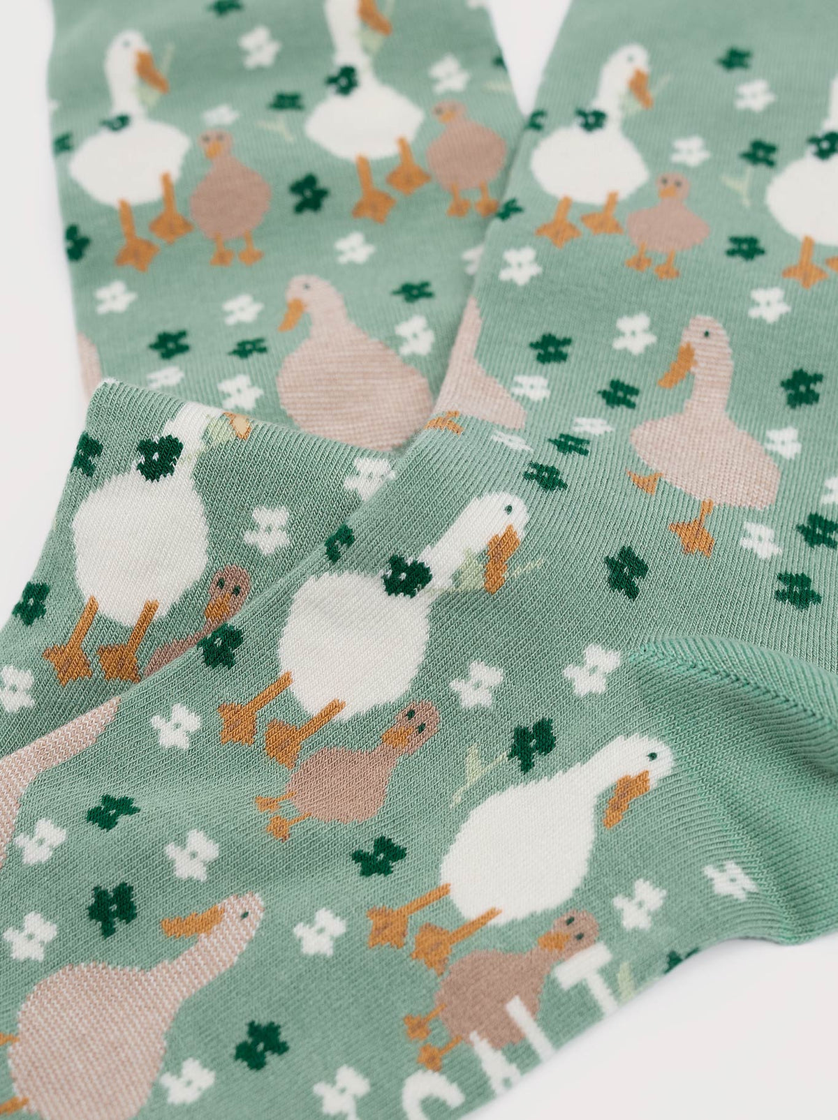 SEASALT BAMBOO ARTY SOCKS (Basil)