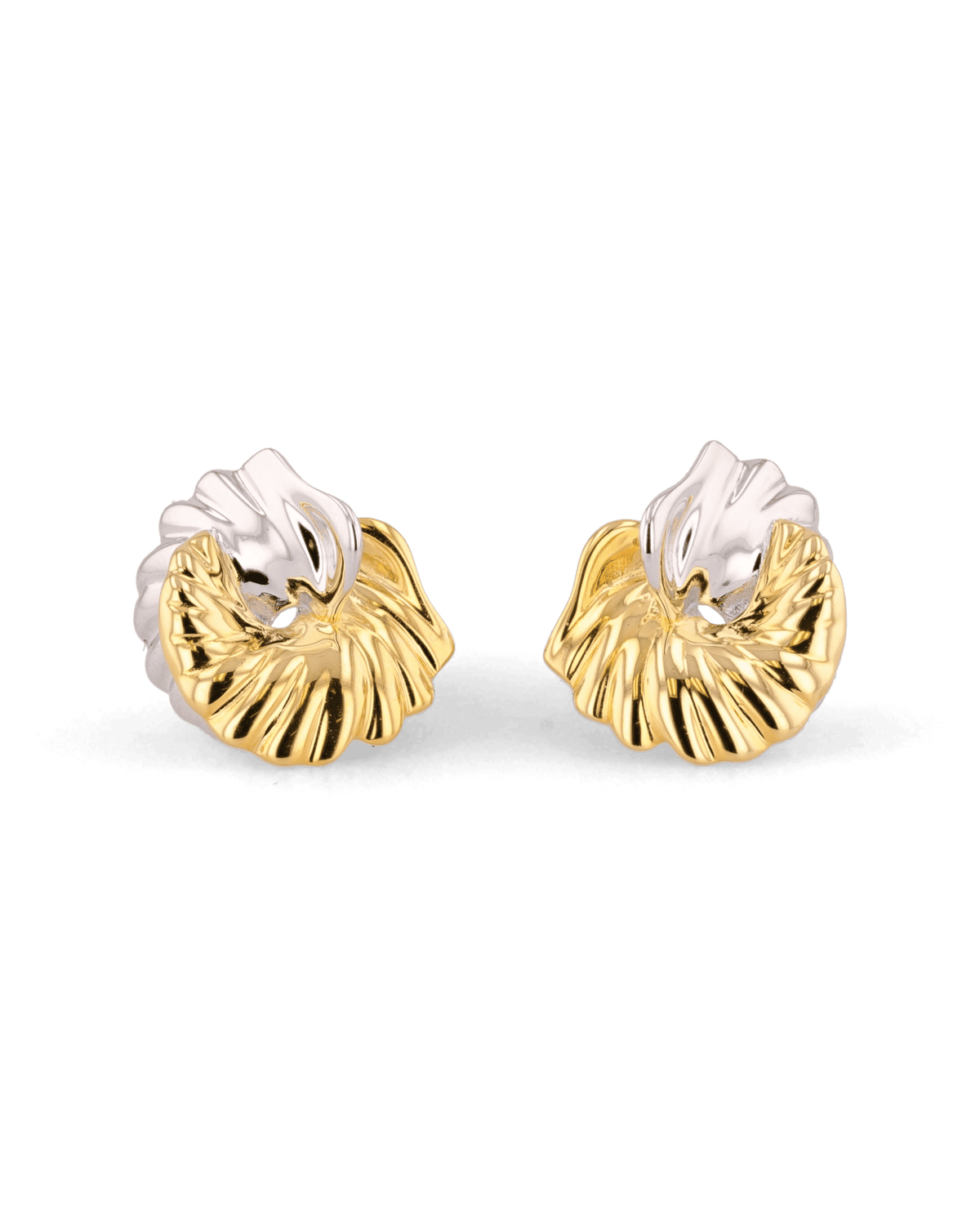 LAVANA Seashell Two-tone Earrings