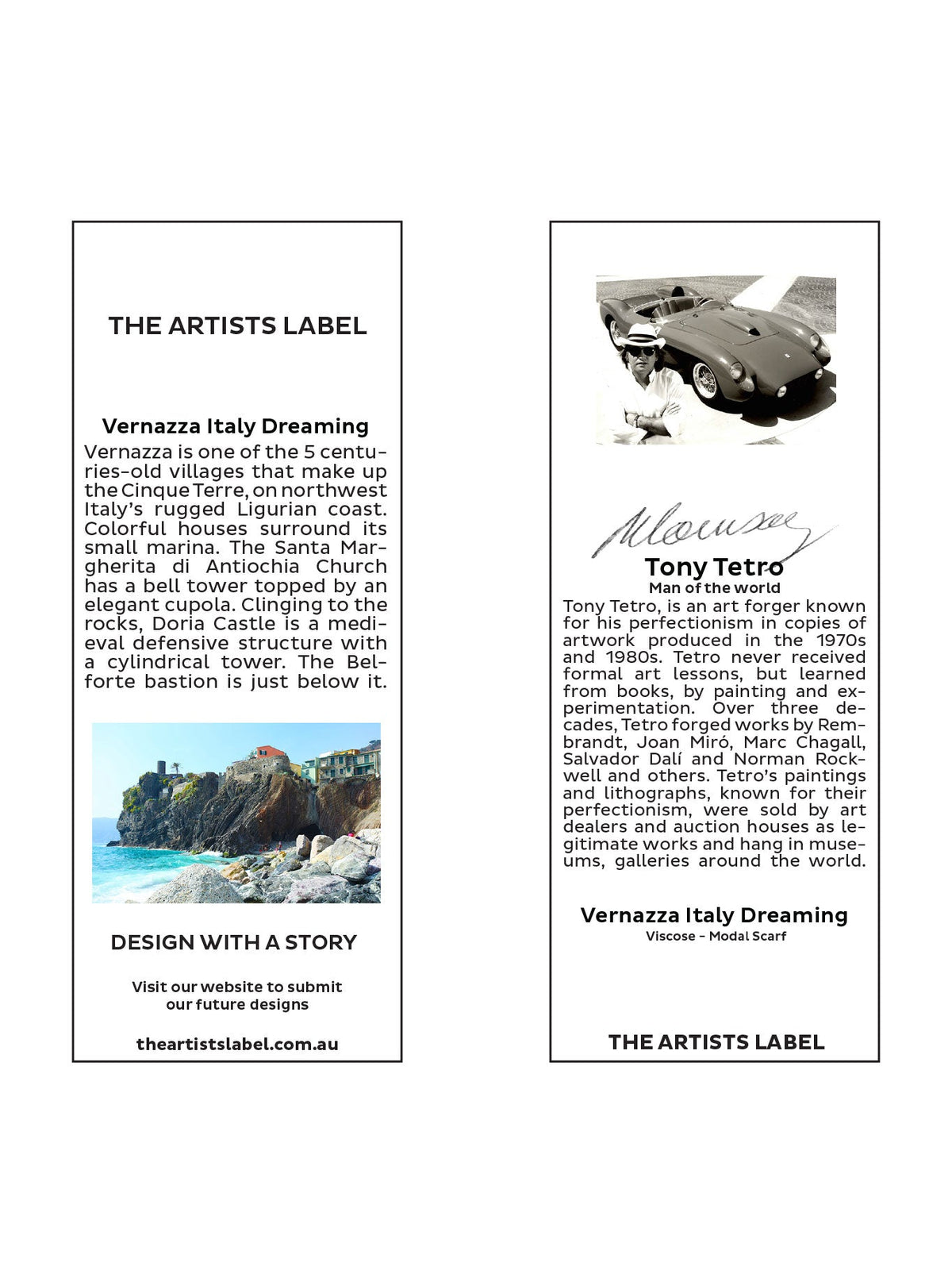 The Artists Label Vernazza Italy Dreaming Scarf (Print)