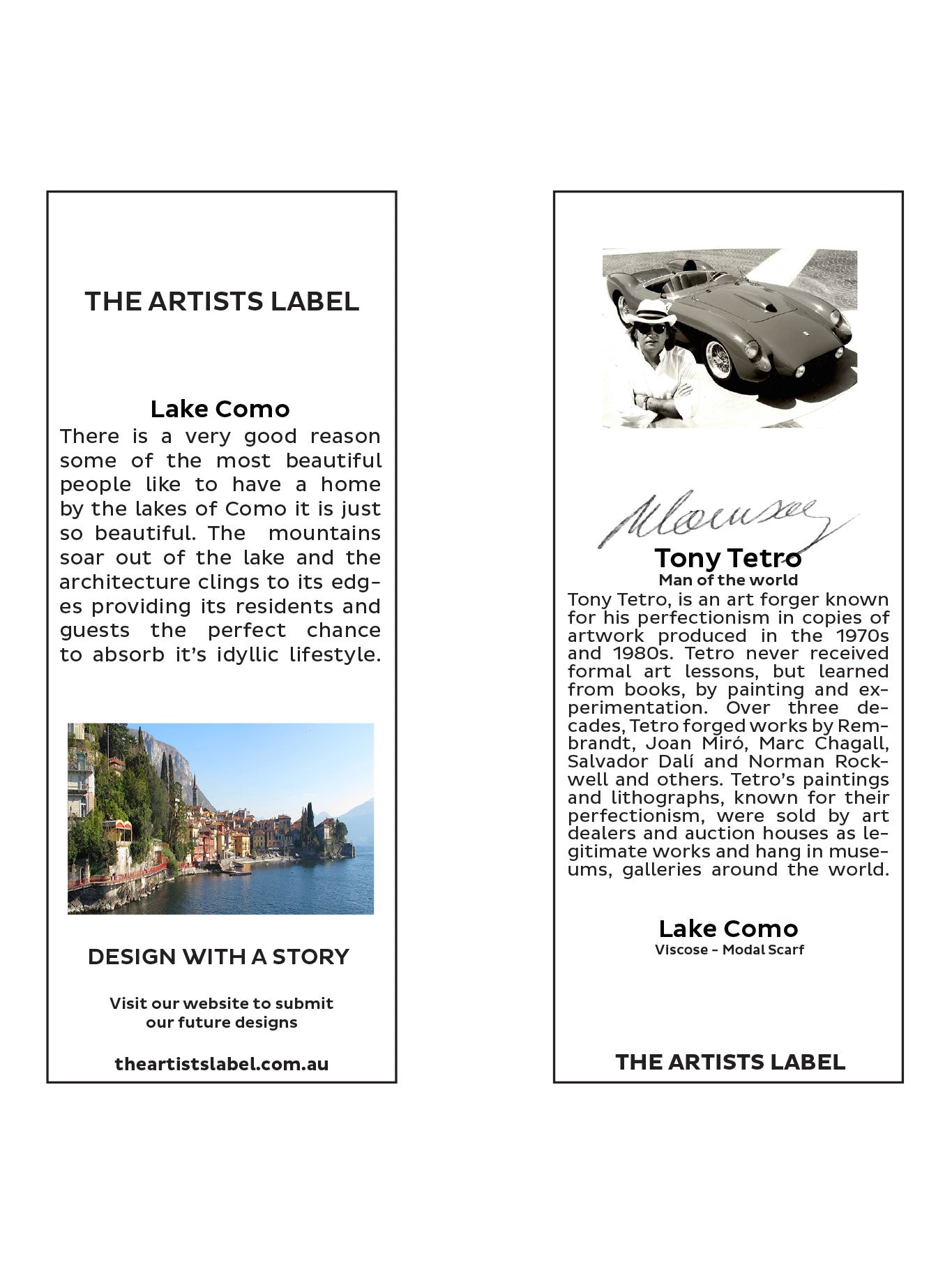 The Artists Label Lake Como Scarf (Print)