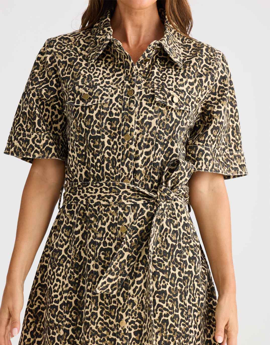Brave + True Leroy Dress (Beige Leopard)