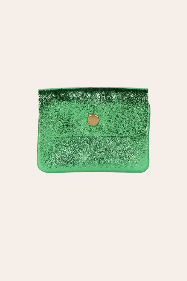 Image of Coin Purses. Product name - Coin Purse | Metallic Cactus in Cactus colour by brand - Kabana