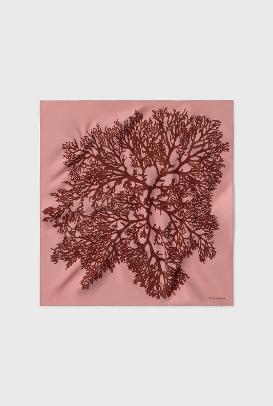 Cotton Silk Scarf (Pressed Coral)