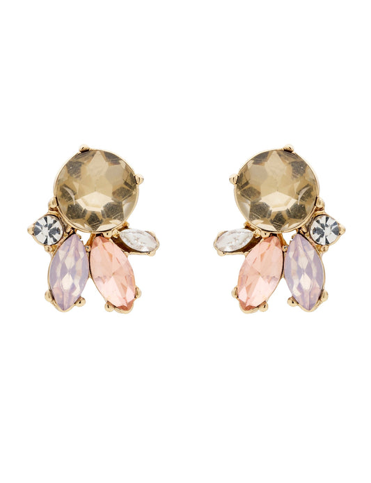 Colette DELICATE SPOT COLOUR EARRING (Print)