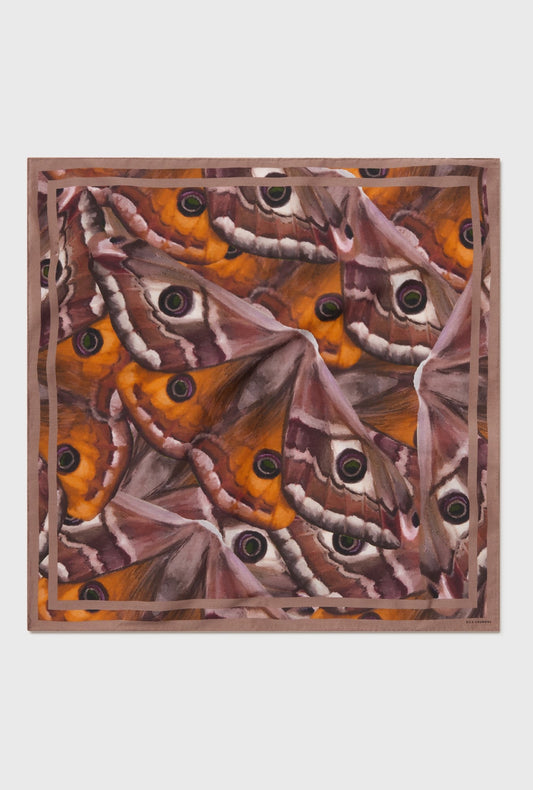 Silk Laundry Twill Scarf (Wingspan)