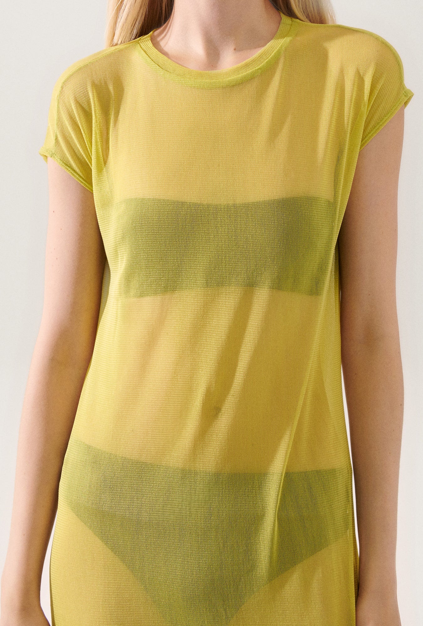 Laundry Silk Mesh Dress (Absinthe)
