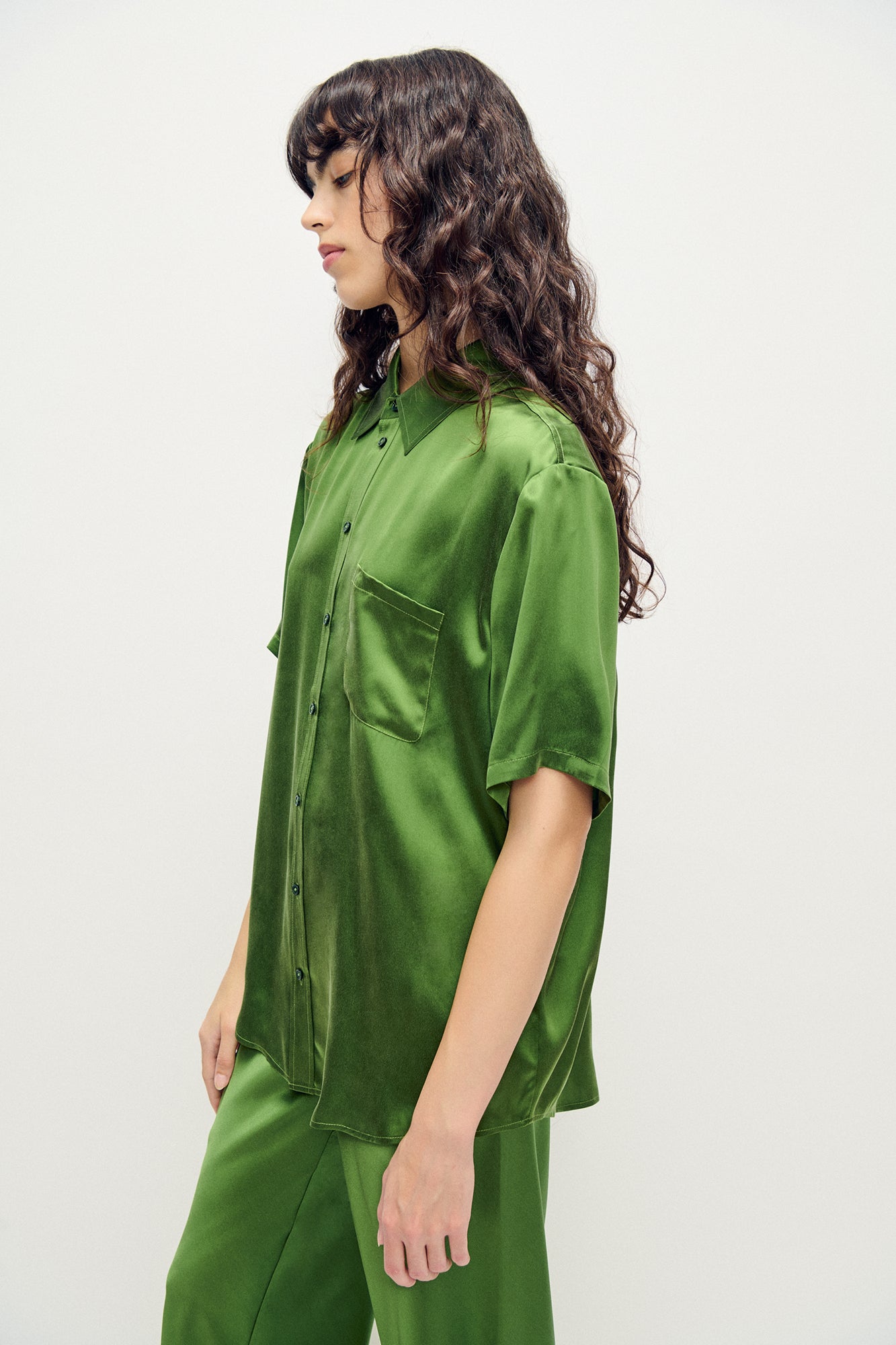 Silk Laundry Short Sleeve Boyfriend Shirt (Fields)