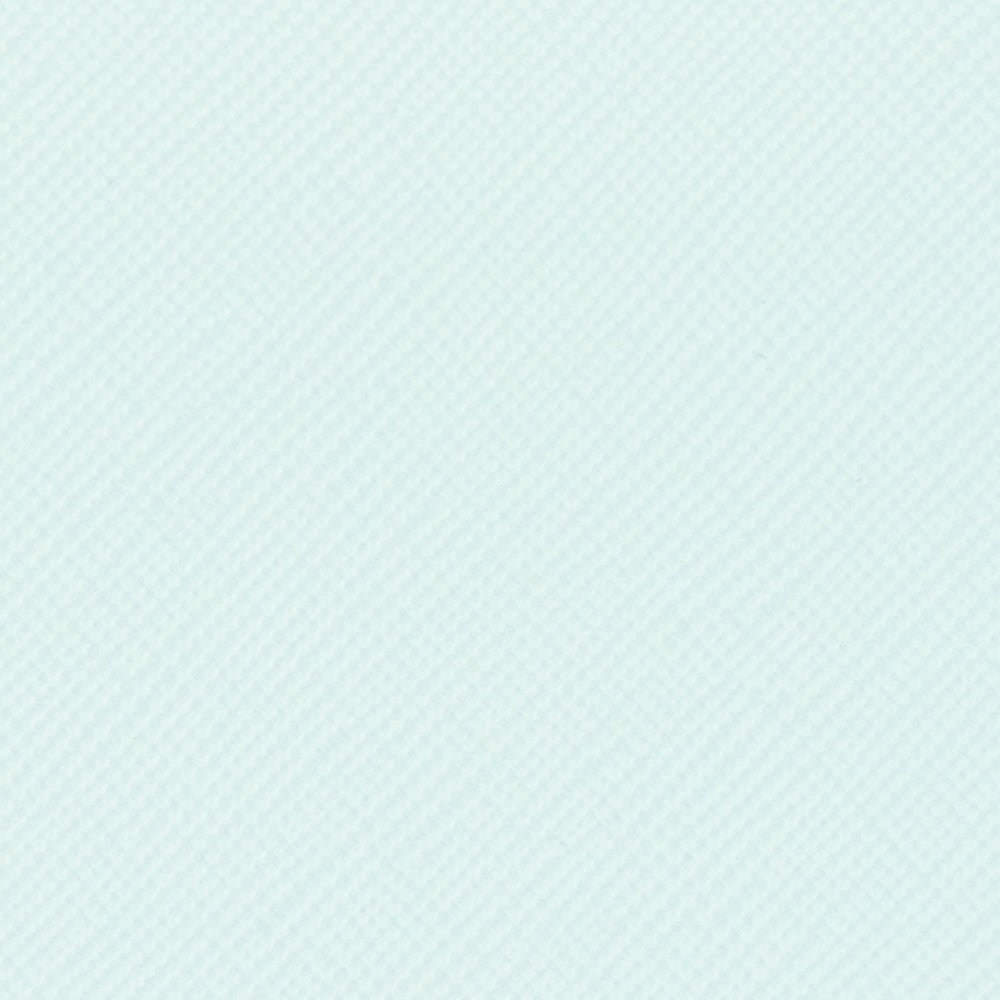 Olga Berg NIC Envelope Clutch (Mint)
