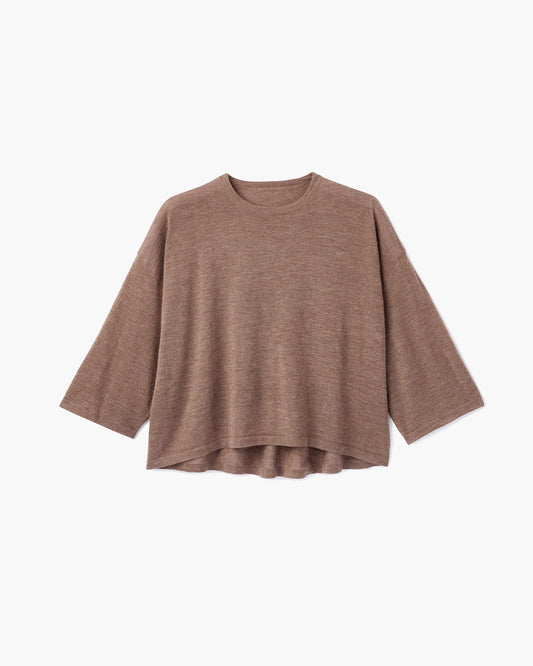 Air Longsleeve Tee (Brown)