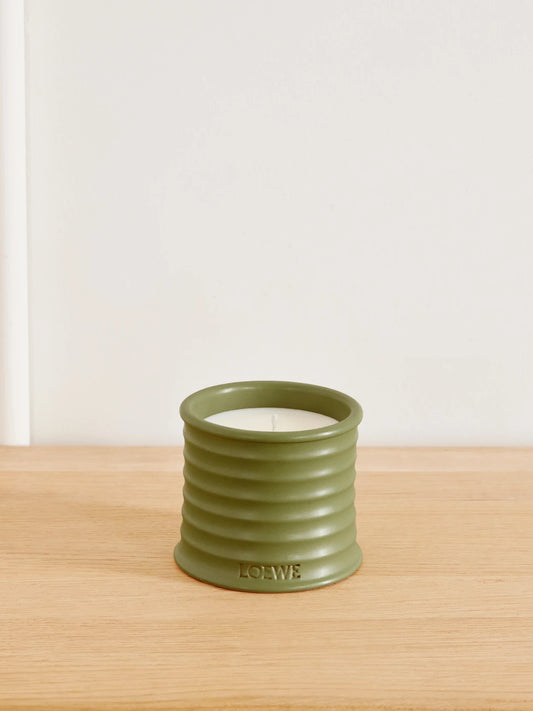 LOEWE PERFUMES Pistachio Small Candle, 170g