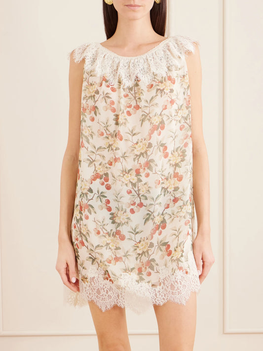 Paloma Lace-trimmed Floral-print Silk-chiffon Mini Dress