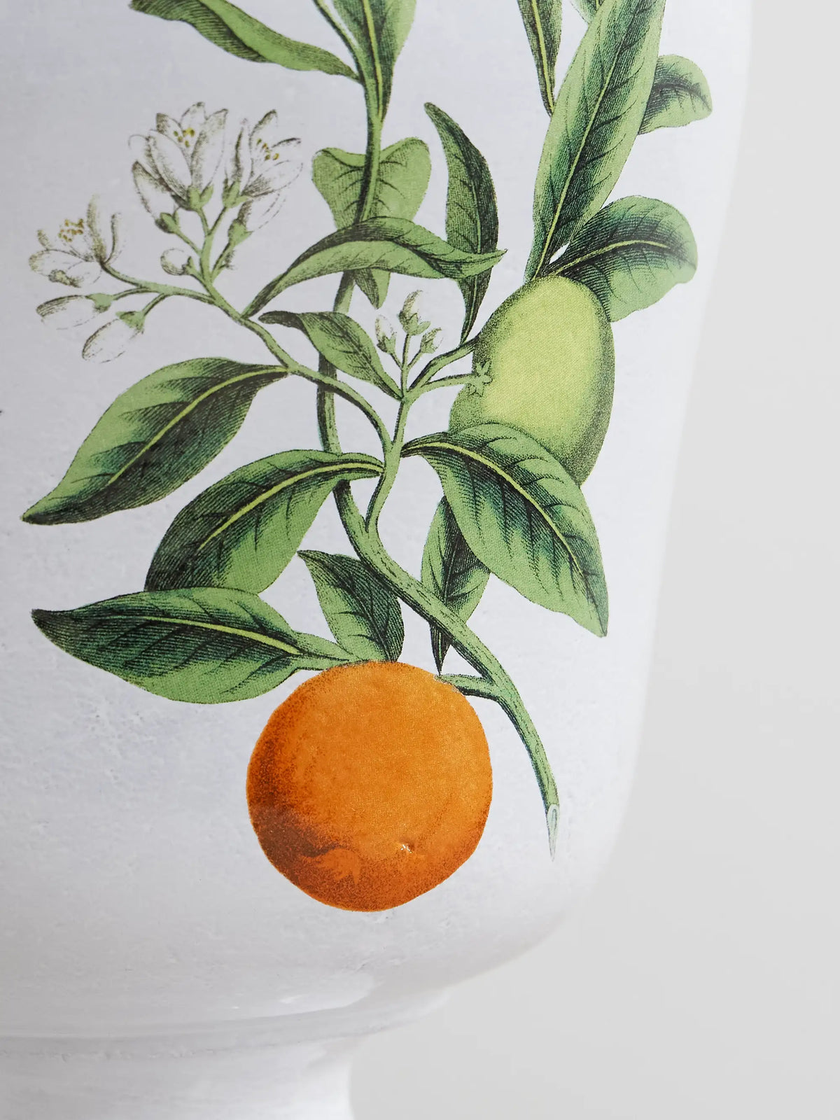 + John Derian Ceramic Vase