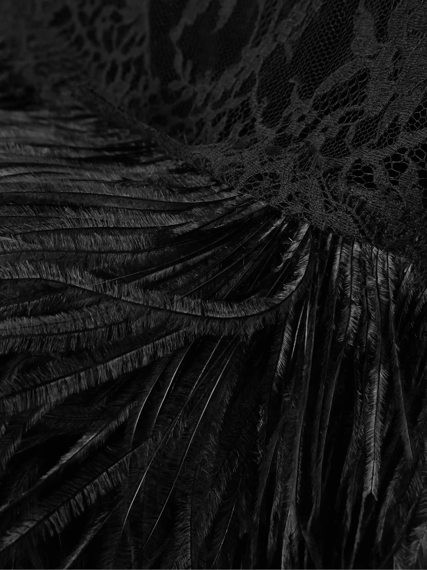 Feather-trimmed Cotton-blend Lace Halterneck Dress