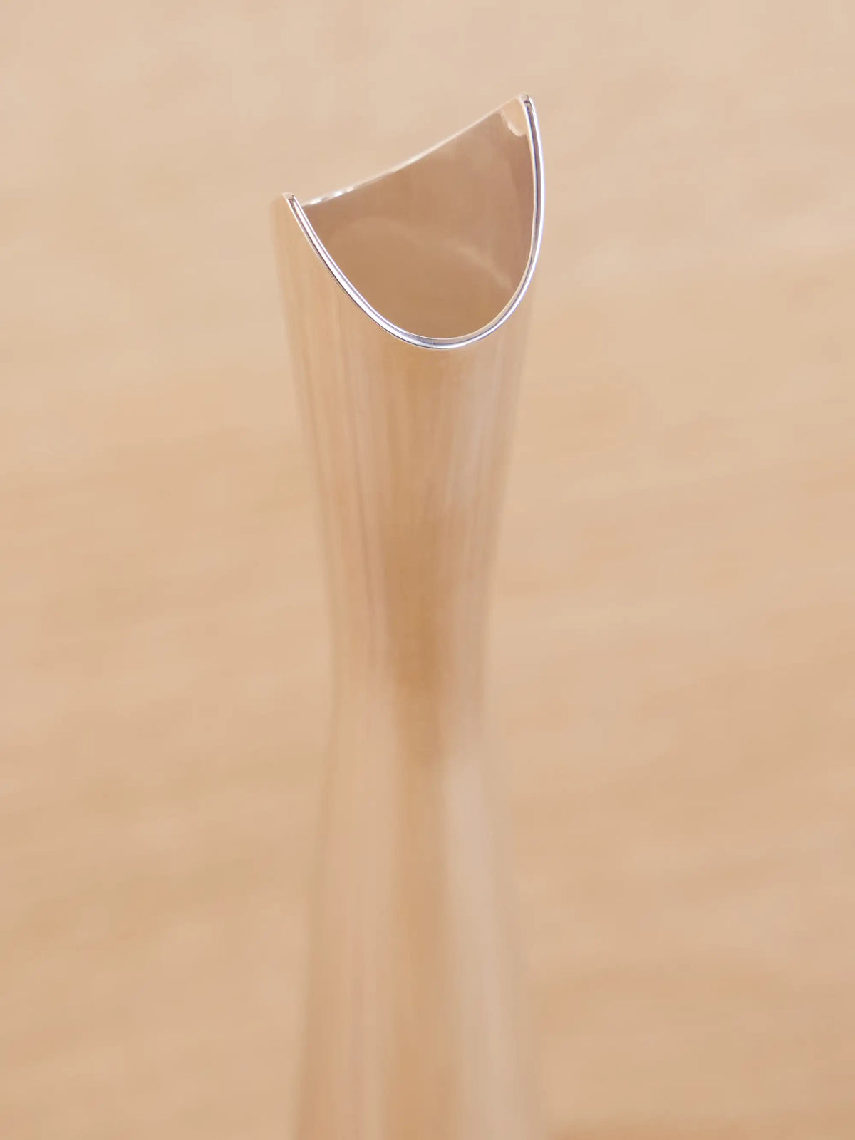 Cardinal Silver-plated Vase