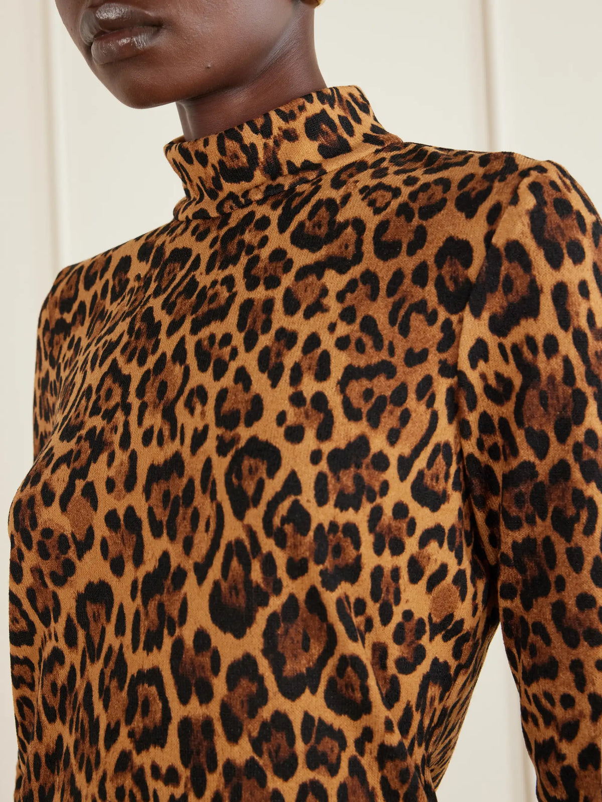 Anna Sui Leopard-print Turtleneck Sweater