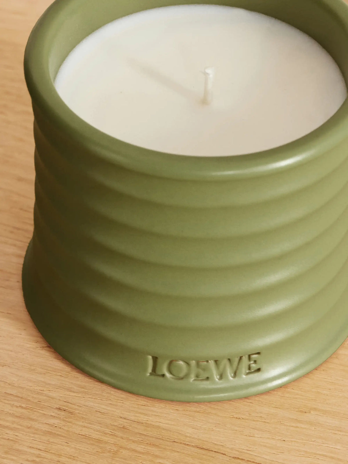 LOEWE PERFUMES Pistachio Small Candle, 170g