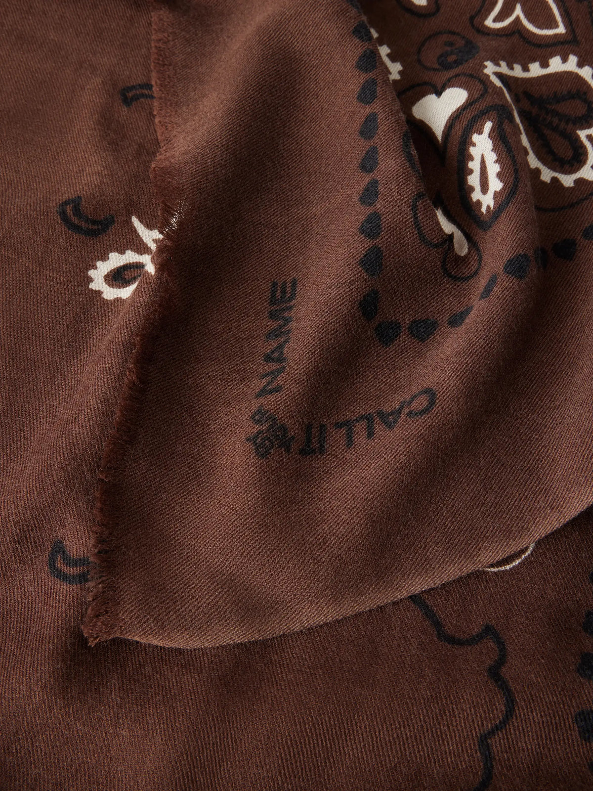 CALL IT BY YOUR NAME Étole Paisley Frayed Printed Wool And Silk-blend Twill Scarf