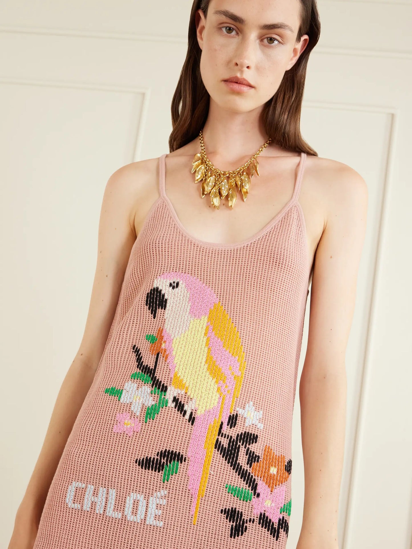 Embroidered Crocheted Cotton Mini Dress