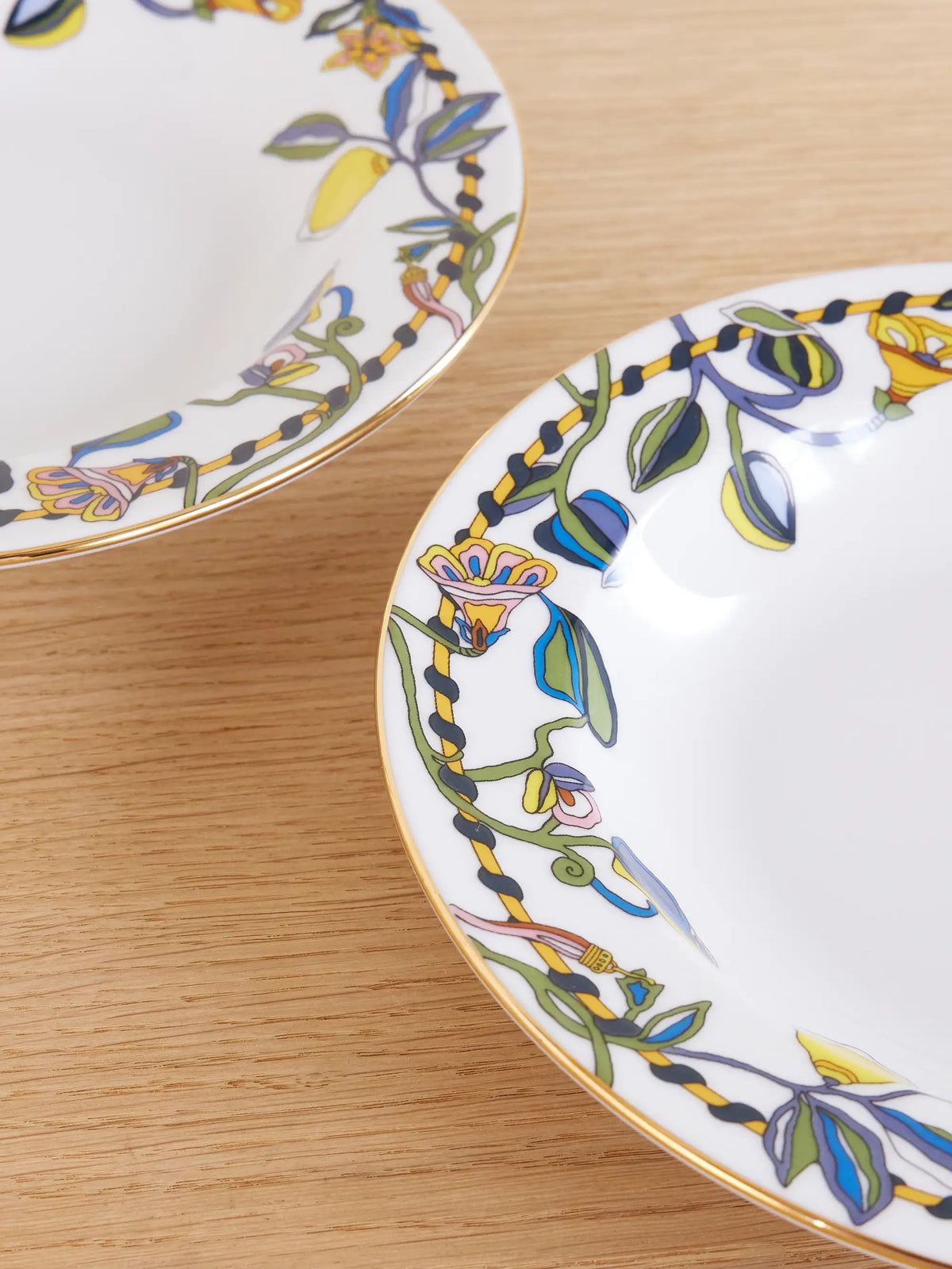 Set Of Two Painted Porcelain Soup Plates